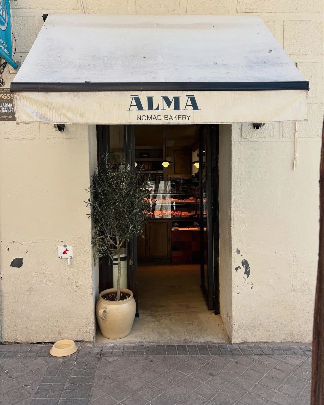 Photo of Alma Nomad