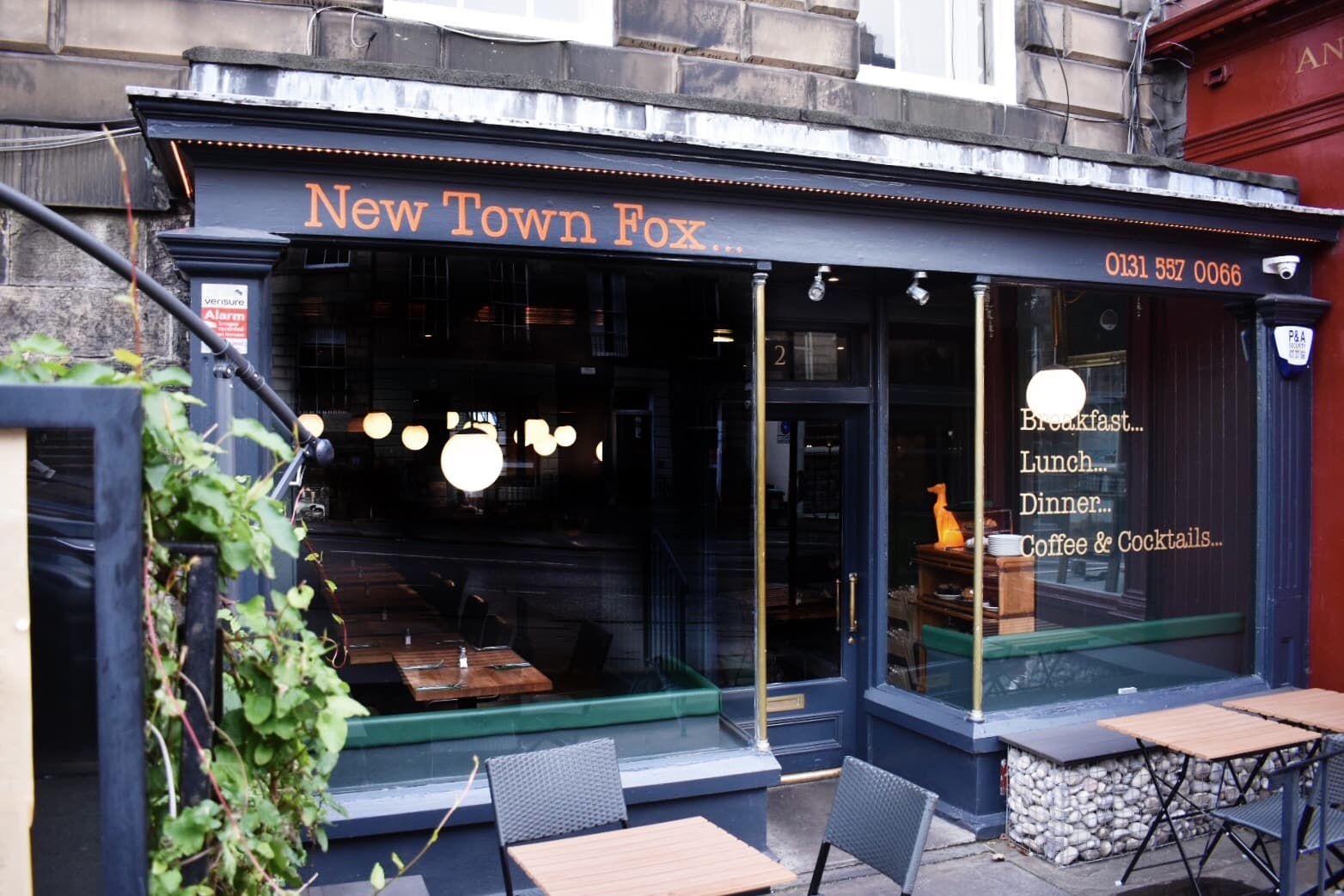 Photo of New Town Fox