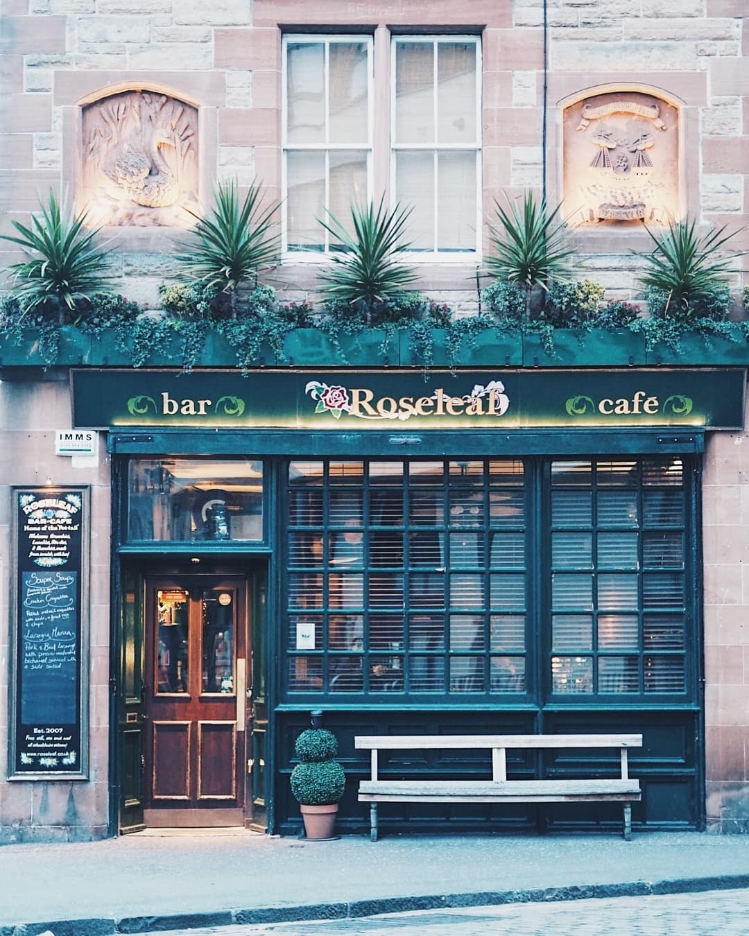 Photo of Roseleaf