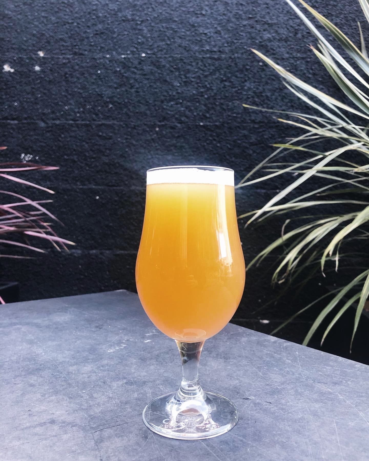 Photo of All Good Beer