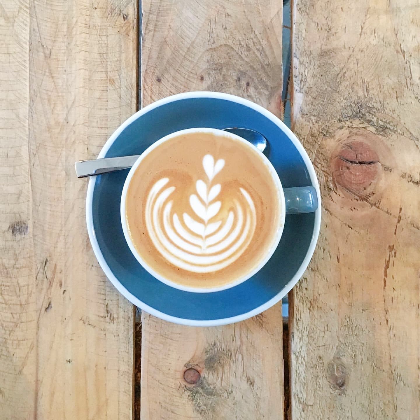 Photo of Saucer & Cup