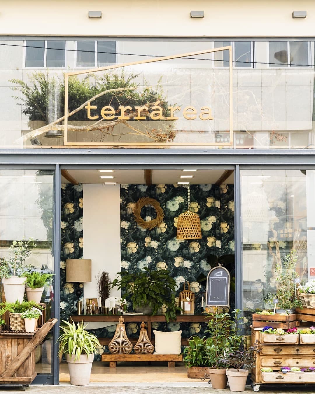 Photo of Terrárea