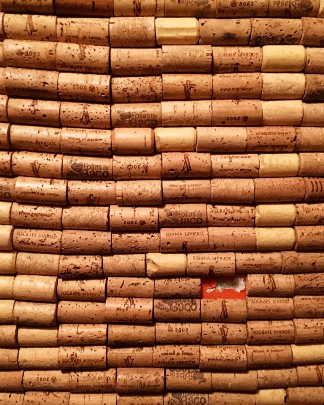 Photo of Folias de Baco